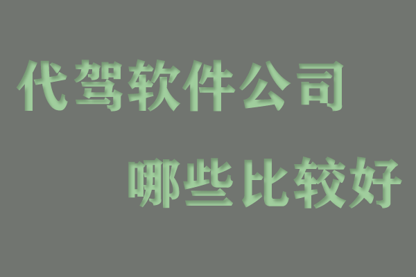 代駕軟件公司哪些比較好_代駕系統(tǒng)開(kāi)發(fā)_代駕軟件費(fèi)用_購(gòu)買(mǎi)代駕系統(tǒng)_代駕軟件需要多少錢(qián)