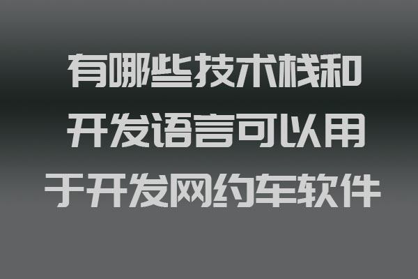 有哪些技術(shù)棧和開發(fā)語言可以用于開發(fā)網(wǎng)約車軟件_網(wǎng)約車軟件開發(fā)_網(wǎng)約車軟件移動(dòng)開發(fā)_網(wǎng)約車軟件后端開發(fā)_網(wǎng)約車軟件前端開發(fā)